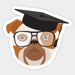 Bulldog With Glasses and University Graduation cap Sticker